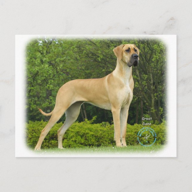 great dane 9T088D-027 Vykort (Framsida)