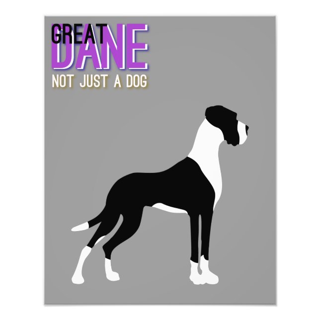 Great Dane Affisch Fototryck (Framsidan)