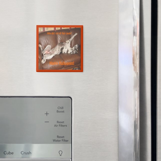 Great dane Ate för mycket Halloween Candy Magnet (In Situ (Fridge))