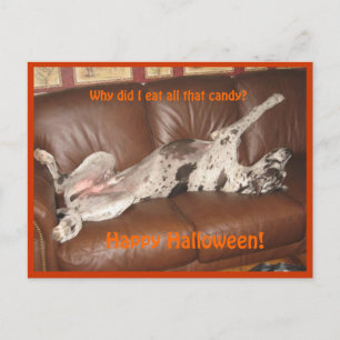 Great dane Ate för mycket Halloween Candy Vykort