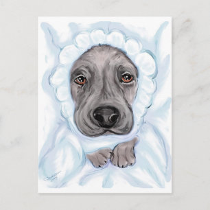 Great dane Baby Black Boy-postkort Meddelande Vykort