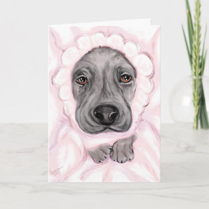Great dane Baby Black Girl-meddelanden Meddelande
