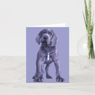 Great dane "Big Baby"-valpen Kort