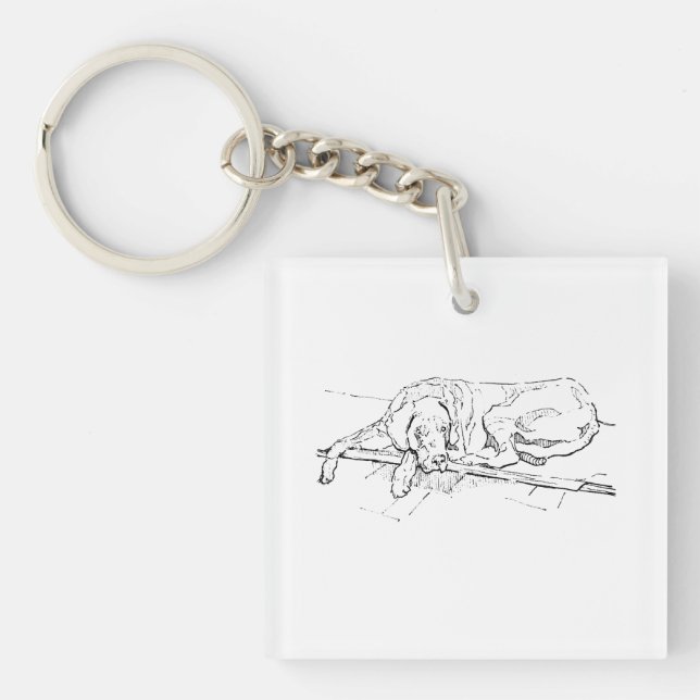 Great Dane, bläckhund illustration (Framsidan)