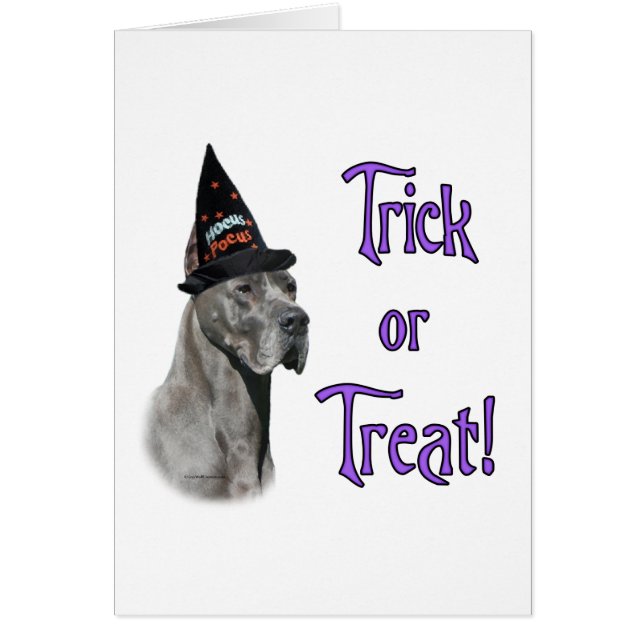 Great dane (blått) hälsningskort (Framsidan)