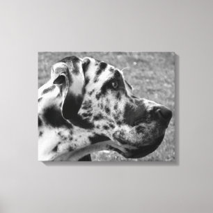 GREAT DANE CANVASTRYCK