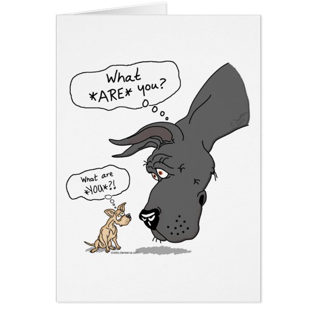 Great dane & Chihuahua Black Hälsningskort (Framsidan)