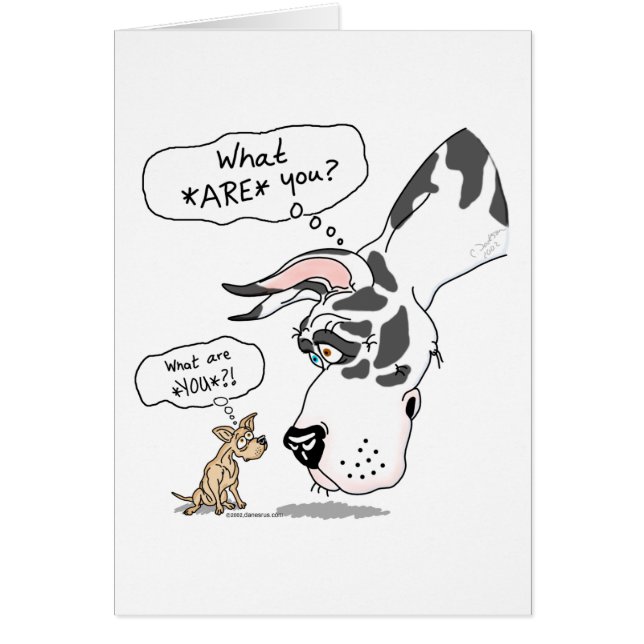 Great dane & Chihuahua Harlequin Hälsningskort (Framsidan)