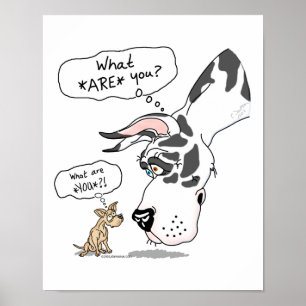Great dane & Chihuahua Harlequin Poster