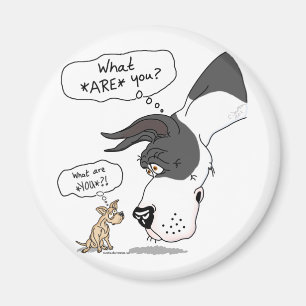 Great dane- & Chihuahuaansvar Magnet