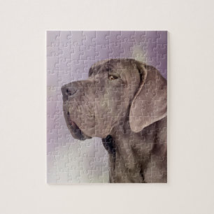 Great dane - Deutsche Dogge Pussel