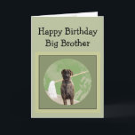Great dane Dog Humor Birthday Big Brother Roligt Kort<br><div class="desc">Great dane Dog Humor for Birthday Brother Roligt</div>