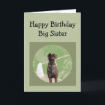 Great dane Dog Humor for Birthday Big Sister Rolig Kort<br><div class="desc">Great dane Dog Humor for Birthday Sister Roligt</div>