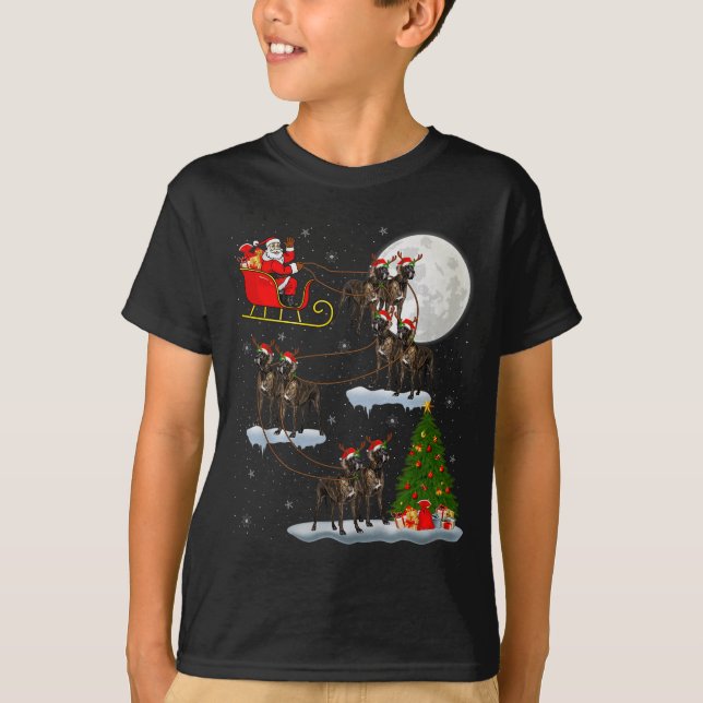 Great Dane Dog Santa Sleigh Flying Funny Magical C T Shirt (Framsida)