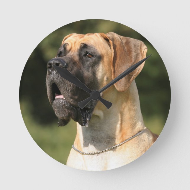 Great Dane - fawn / Deutsche Dogge - gelb Rund Klocka (Framsida)