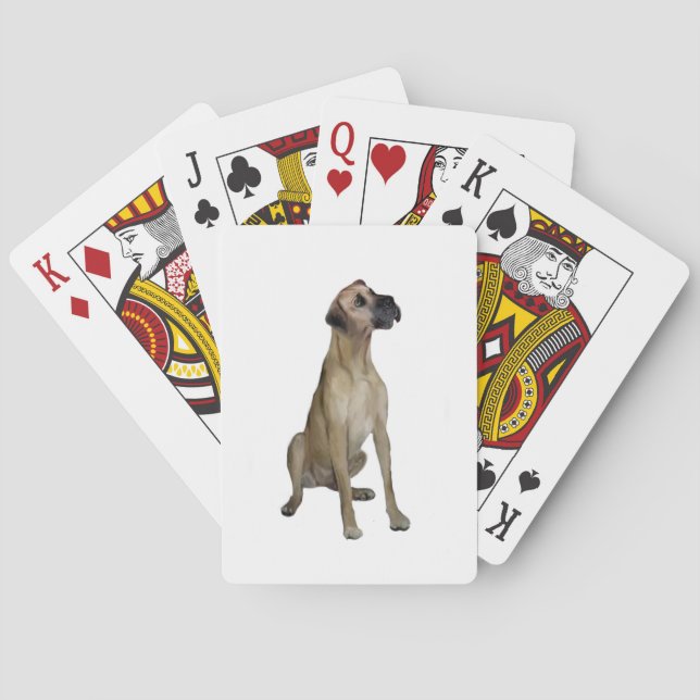 Great dane - FawnSit - Naturligt öron Spelkort (Baksidan)