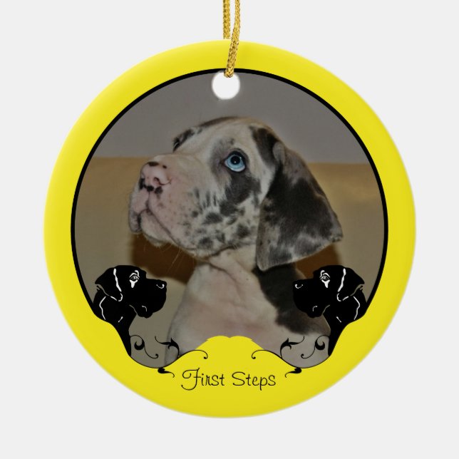 Great Dane Fotografiskt Ornament (Framsidan)