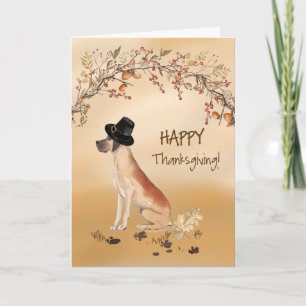 Great dane Funny Pilgrim Hat Thanksgiving Kort