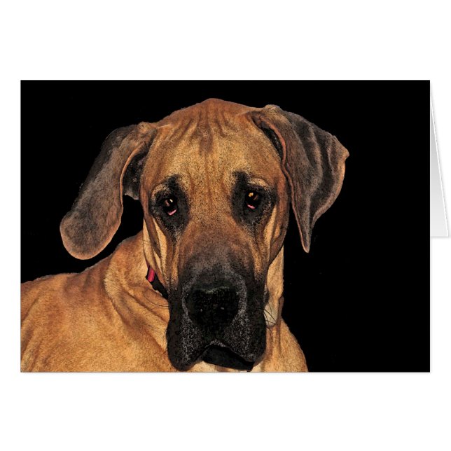 Great dane Gentle Giant Card Hälsningskort (Framsidan Horizontal)