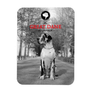 Great dane-grafik magnet