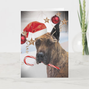 GREAT DANE HA PÅ SIG SANTA SOM HATTEN GÅ I AX PÅ HELGKORT