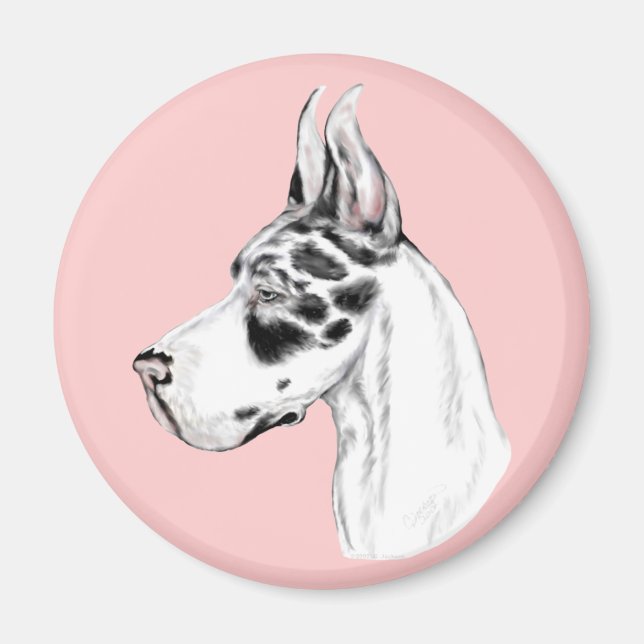 Great dane Harlequin Feminine Magnet (Framsidan)