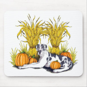 Great dane Harlequin Harvest UC Musmatta