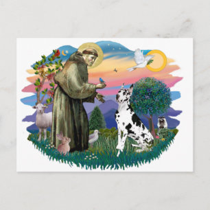 Great dane (Harlequin) Vykort