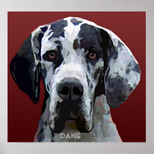 Great dane Harly Ansikte Poster