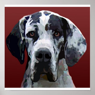 Great dane Harly Poster 12,5