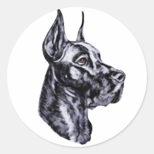 Great dane Head Study Black Runt Klistermärke