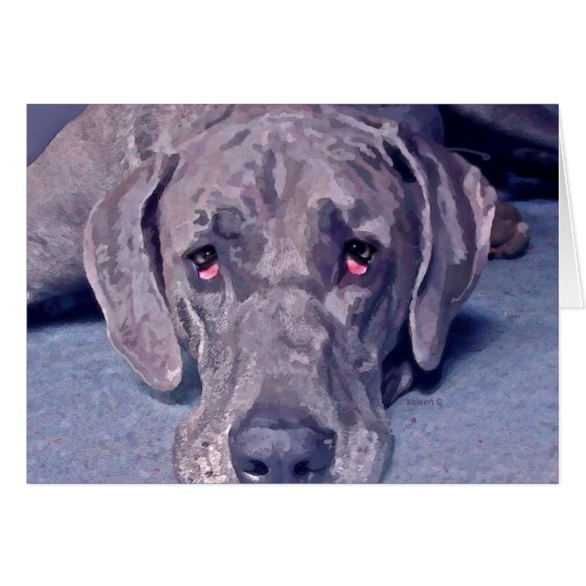 Great dane Hero OBS Kort (Framsidan Horizontal)