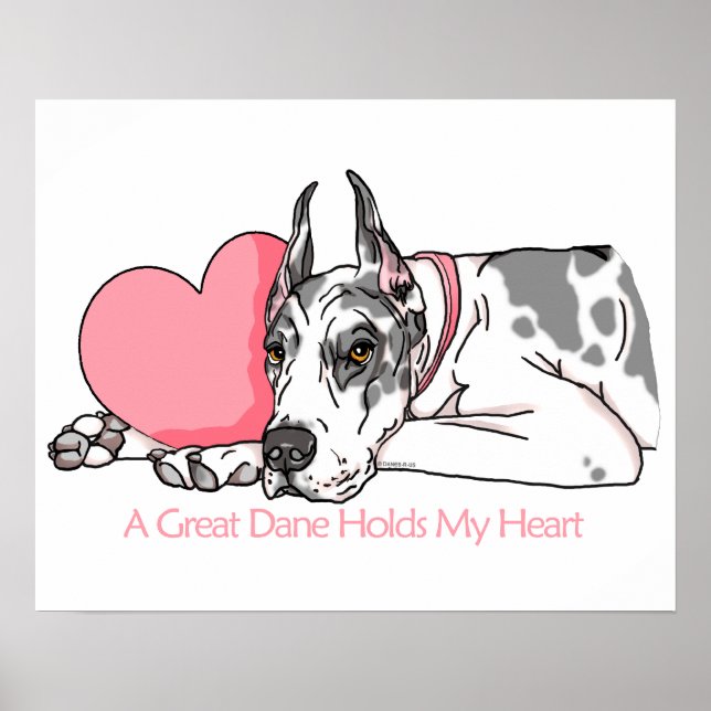 Great dane Holds Heart Harlequin Poster (Framsidan)