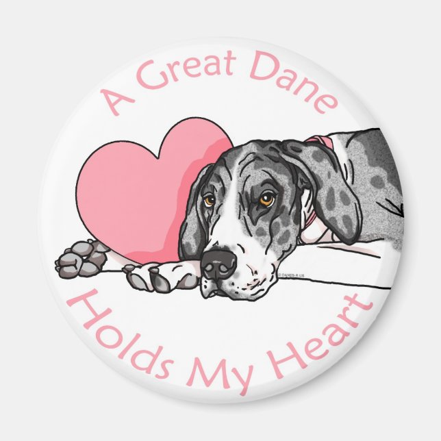 Great dane Holds Heart MerleB UC Magnet (Framsidan)