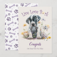 Great Dane Hund Adoption, Gotcha Day