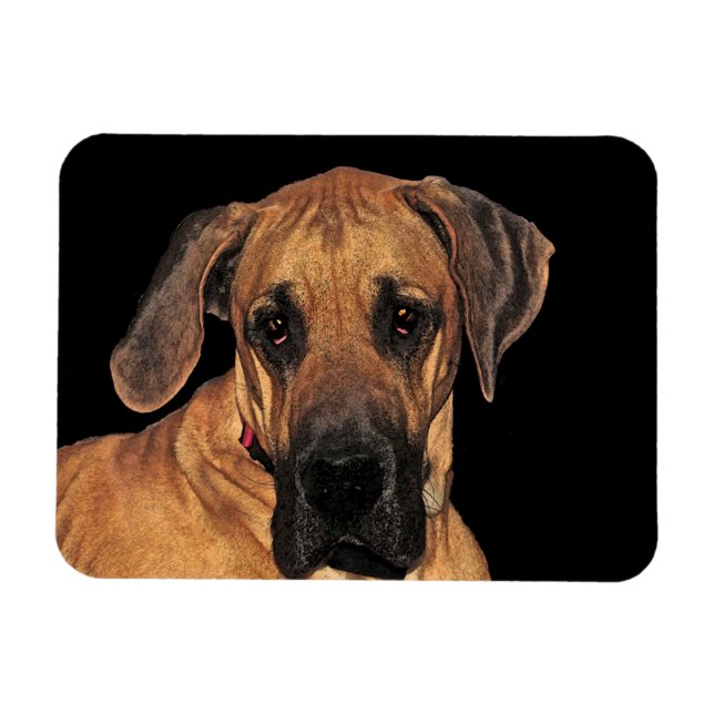 Great dane Hund Flexibel magnet (Horisontell)