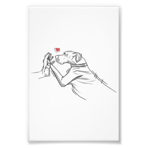 Great dane Hund Fototryck