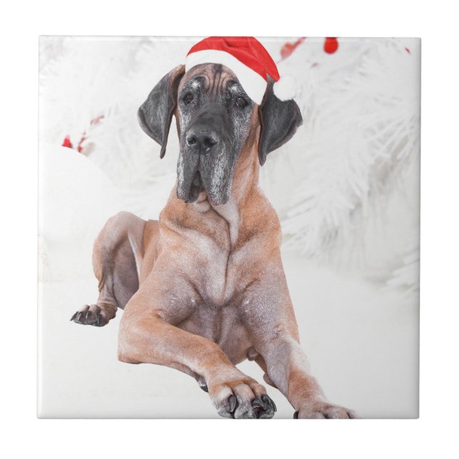 Great dane Hund Hat God jul Kakelplatta (Framsidan)