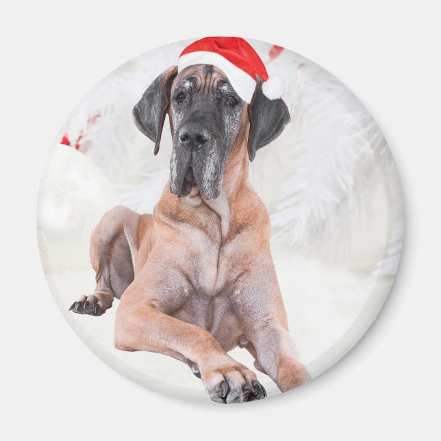Great dane Hund Hat God jul Magnet (Framsidan)