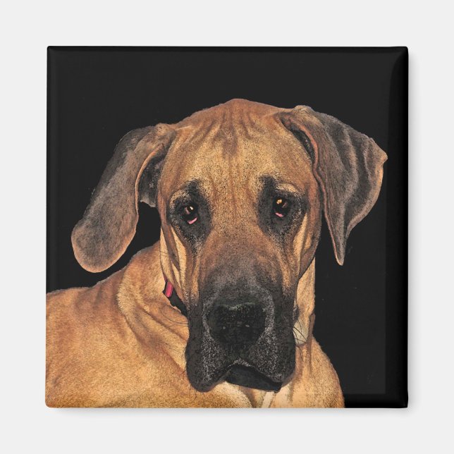 Great dane Hund Magnet (Framsidan)
