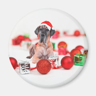 Great Dane-hund med juldekorationer present Magnet