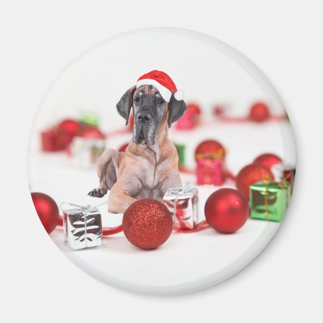 Great Dane-hund med juldekorationer present Magnet (Framsidan)