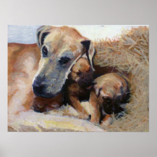 Great dane Hund Porträtt Poster