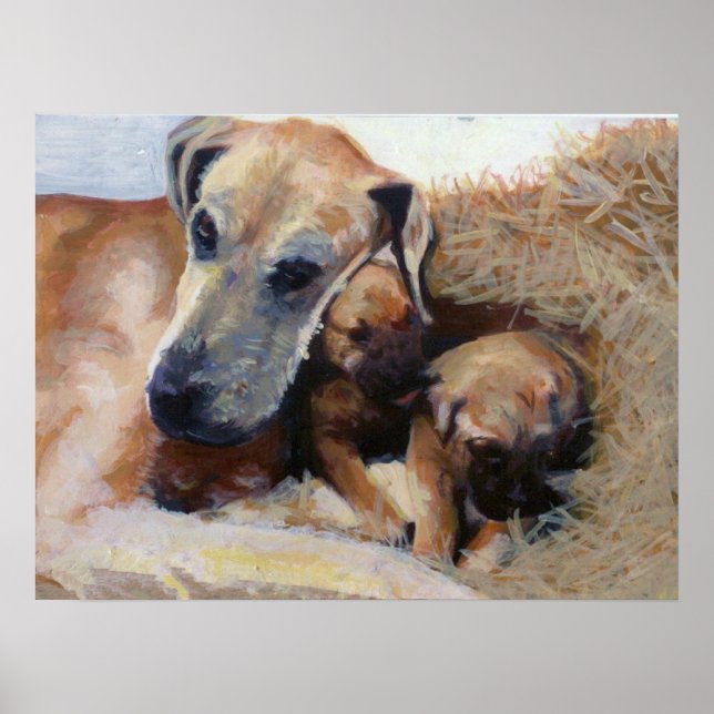 Great dane Hund Porträtt Poster (Framsidan)