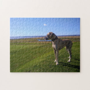 Great dane hund pussel