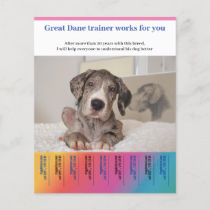 Great dane Hund Trainer Flygblad