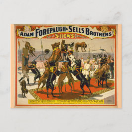 Great dane/Hundar Circus Poster Vykort