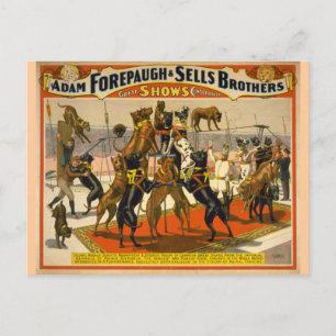Great dane/Hundar Circus Poster Vykort