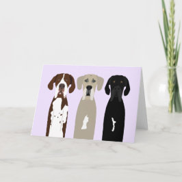 Great dane Hundar Kort
