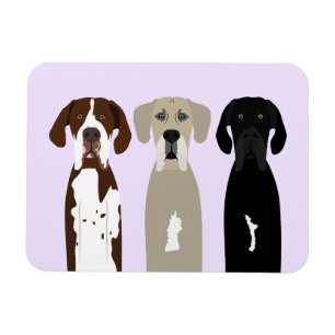 Great dane Hundar Magnet